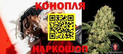 винт Камень-на-Оби