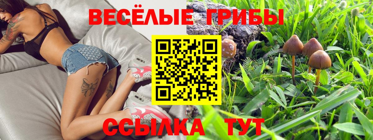 Ишим  Галлюциногенные грибы Psilocybe  Галлюциногенные грибы Cubensis  наркошоп  Вход с VPN 
