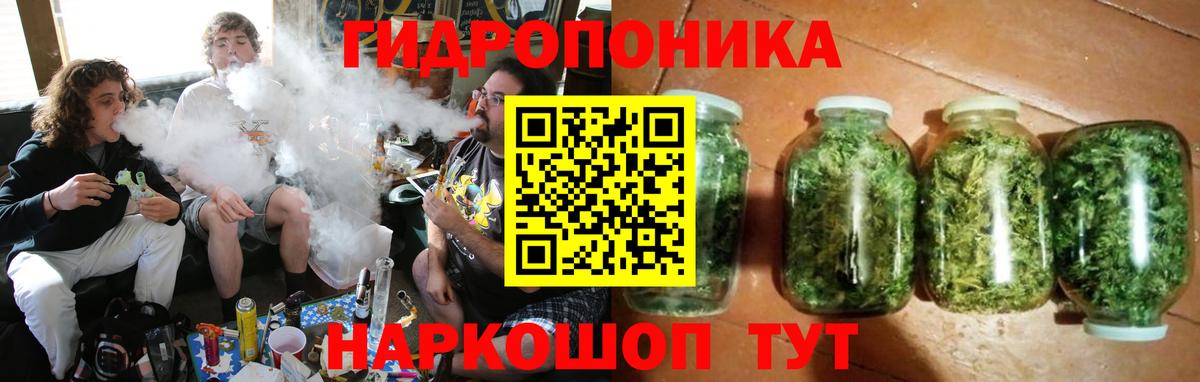 Шишки марихуана индика  Вход с VPN  Ишим  МАРИХУАНА THC 21% 
